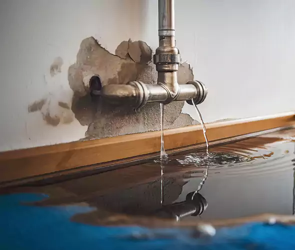Professional Water Damage Restoration Experts in Plymouth, MA — Fast, Reliable & Certified