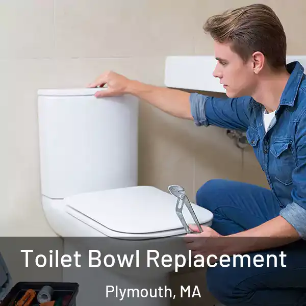  Toilet Bowl Replacement Plymouth, MA